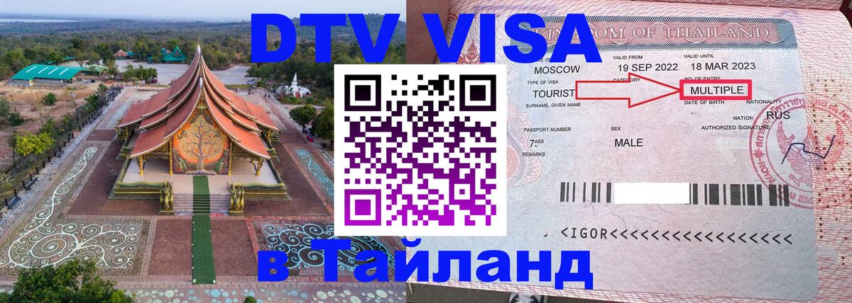 Сколько стоит DTV виза — актуальные цены, оформление даже без документов - Омск 
